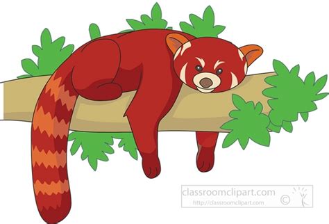 Red Panda On Tree Clipart Classroom Clip Art