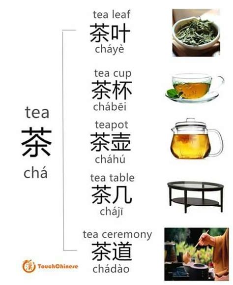 Tea Chá 茶 Mandarin Chinese Learning Chinese Language Chinese Pinyin