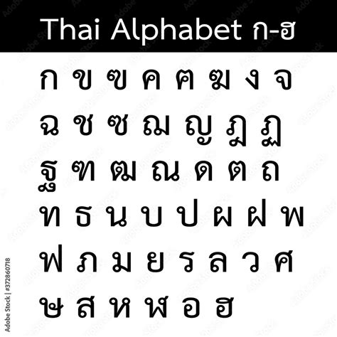 Thai Alphabet Letters Vector Stock Vector Adobe Stock