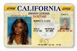 Photos of Llc License California