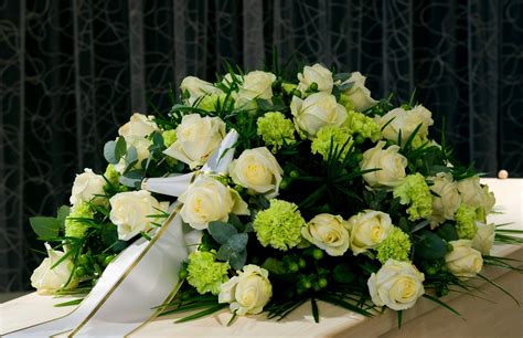 Gorgeous ecuadorian roses, full bloom hydrangea, exotic orchids. American Wholesale Flowers | Flower Shop | Chula Vista, CA