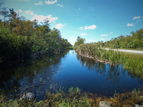 Day Trip To Everglades National Park