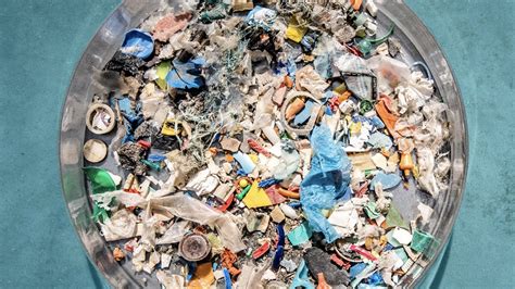 Plastbug Technology To Digest And Convert Marine Plastic