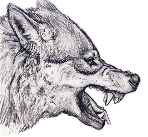 Growling Wolf Wolf Clipart Pencil Art Drawings Art Drawings