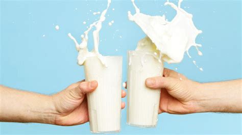 Different Types Of Milk Which One Is The Best Huffpost Australia News