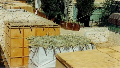 Sukkah Hopping In Israel Through The Decades Israel21c