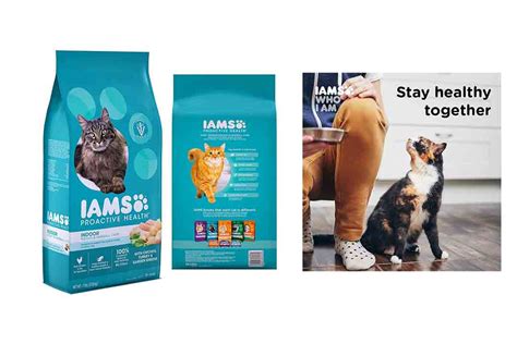 Since their new meal plan is designed to help manage medical conditions, their diets should not be interchangeable without a veterinarian's approval. 36 HQ Images Vet Recommended Cat Food : Top 10 Best Vet ...
