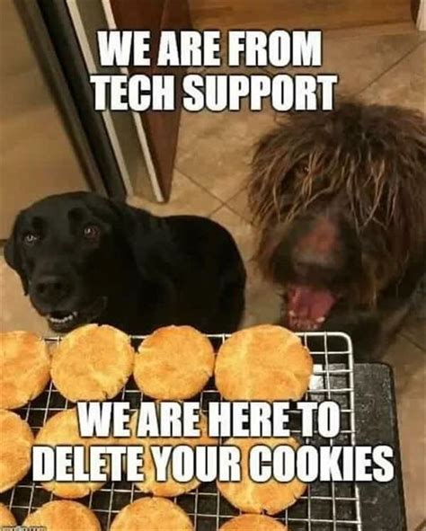 Tech Support Is Here To Help Really Funny Pictures Cute Animal