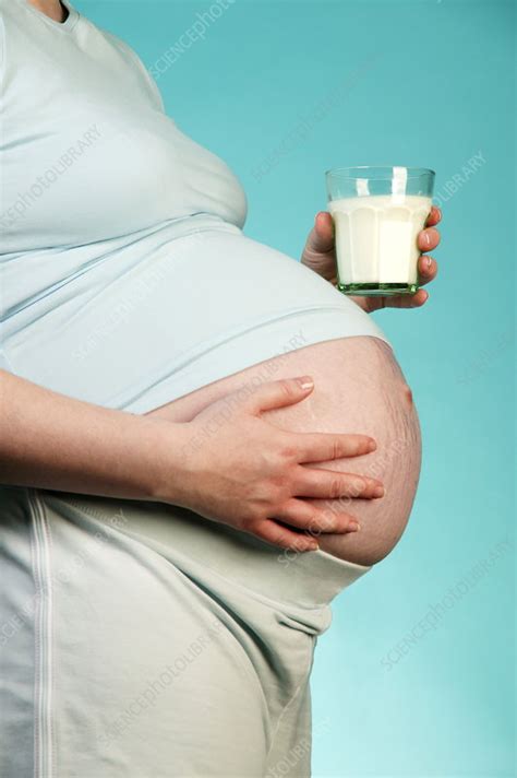 Pregnant Woman Stock Image M805 0667 Science Photo Library