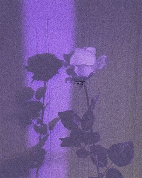 Rosa Violeta Aestethic Feeds Image By 3 In 2021 Purple Aesthetic