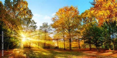 Foto Stock Idyllischer Naturpark Im Herbst Bei Sonnenschein Adobe Stock