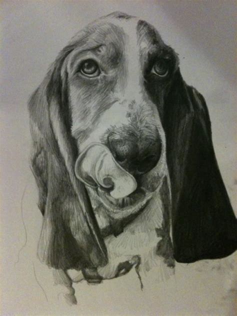 Life As I Know It By Worm The Basset Hound September 2011