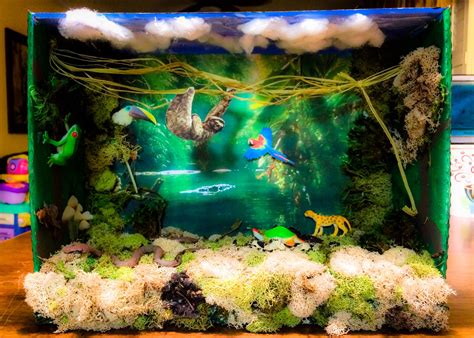 Tropical Rainforest Diorama Habitats Projects Ecosystems Projects