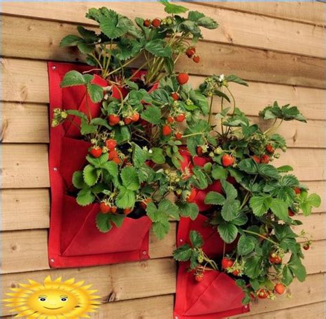 Diy Vertical Flower Beds And Beds Photo Examples