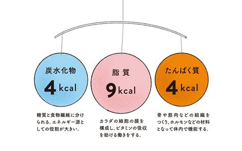 食べ物のエネルギー量はこうやって計算できる 読む栄養補給 NU ニュータス by 日本栄養士会