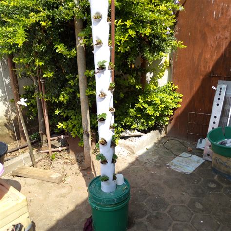 In this tutorial, learn how to set up a hydroponic tower for growing easy and healthy plants. Hydroponic Tower Grow-bed