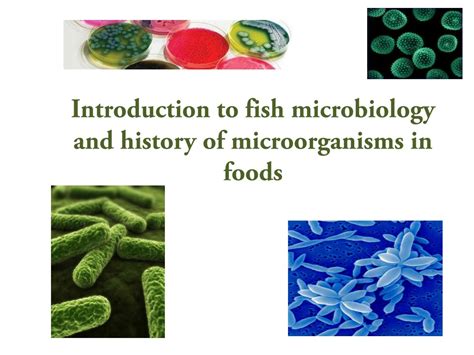 Ppt Introduction To Fish Microbiology And History Of Microorganisms