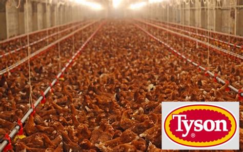 Tyson Foods Now Listed As Bigger Polluter Than Us Department Of Defense