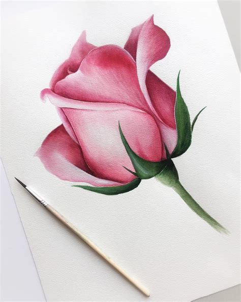 Pin By Itzel On Rose Drawings Pencil Drawings Of Flowers Realistic