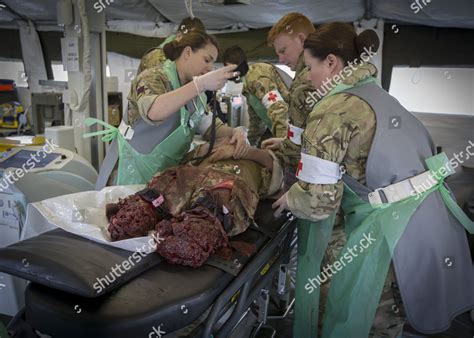 Emergency Ied Injury Operation Drill New Editorial Stock Photo Stock