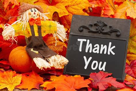 Thank You Message On Chalkboard With Fall Leaves Stock Image Image Of