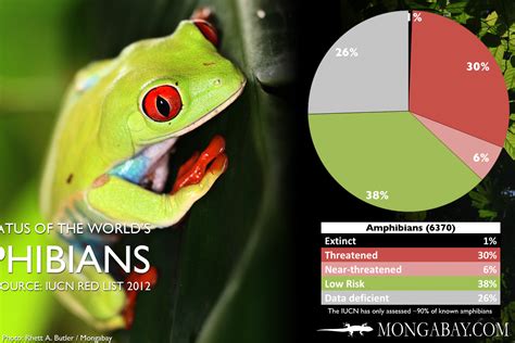 Chart The Worlds Most Endangered Amphibians