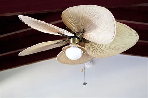 Direction Of Ceiling Fans In Summer Shelly Lighting