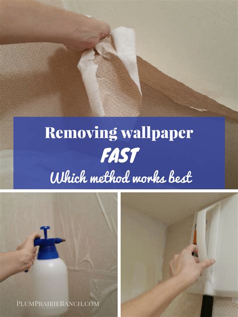 Removing Wallpaper Fast So You Can Get On With The Fun Stuff Plum