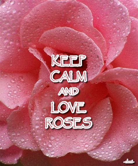 Keep Calm And Love Roses Created By Eleni Keep Calm Keep Calm Signs Keep Calm Posters