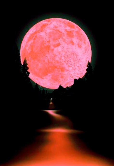 ภเгคк ค๓๏ Moon Photography Beautiful Moon Pink Moon