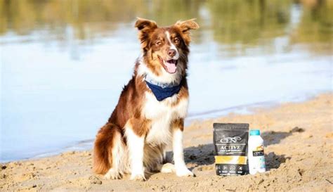 Natural Animal Supplements And Feeds Cen Nutrition
