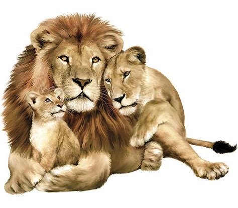 Lion Pictures For Kids