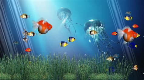 49 Animated Ocean Desktop Wallpapers Wallpapersafari
