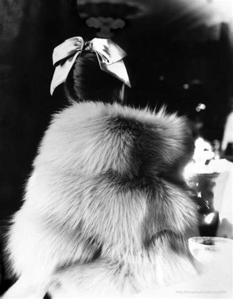 Lillian Bassman The Little Furs Mary Jane Russell In A Cape Jacket By