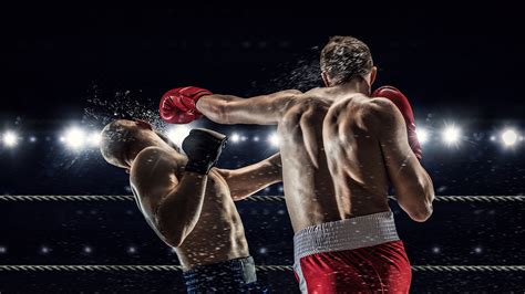 Desktop Wallpapers Men To Beat Human Back Two Sport Boxing 2560x1440