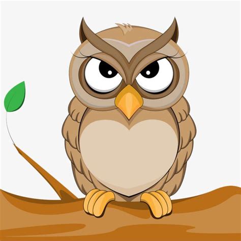 Animal World Cute Owl Drawing Owl Vector Owl Clip Art