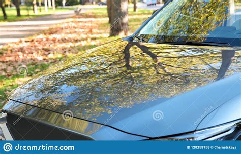 Clean Automobile Outdoors Closeup View Of Hood Stock Photo Image Of