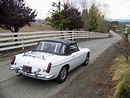 Basil Adams lives on my roof! : MGB & GT Forum : The MG Experience