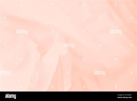 Light Orange Peach Color Abstract Background Stock Photo Alamy