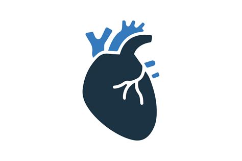 Cardiology Heart Human Icon Grafik Von Dhimubs124s · Creative Fabrica