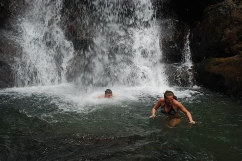 10 Things To Know Before Visiting El Yunque Rainforest El Yunque