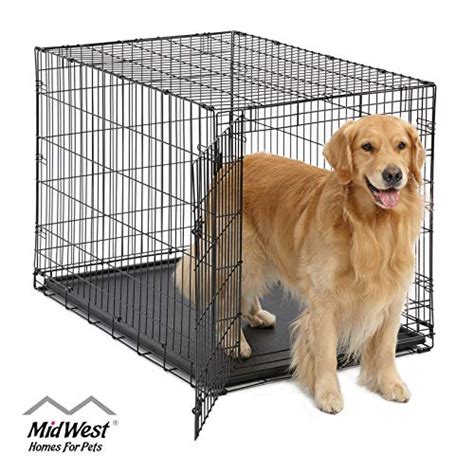 Best Kennels For Golden Retrievers Top 5 Reviewed 2022 My Golden