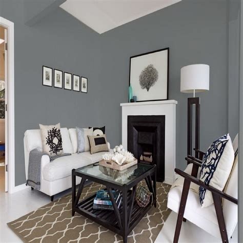 Astounding Grey Paint Ideas For Living Room Of Why Choosing Tips Acnn