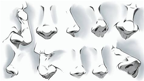 Comic Style Noses Various Angles By