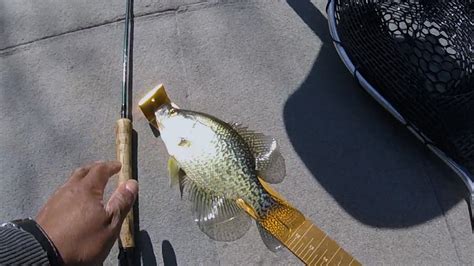 2020 Early Spring Crappie Fishing Wisconsin Youtube