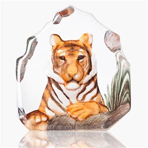 Tiger Painted Crystal Sculpture 34175 Mats Jonasson Maleras
