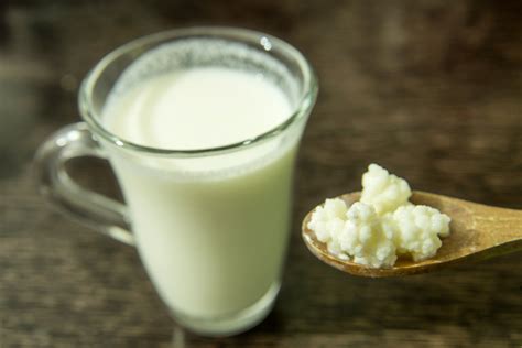 Kefir di latte come fare il formaggio quark di kefir molto facile e senza cottura. Come si prepara il kefir e quali sono le sue proprietà