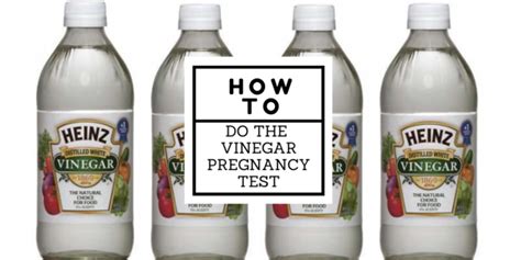 How To Do The Vinegar Pregnancy Test Mothers Haven