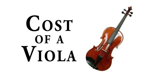 Cost Of The Viola Youtube