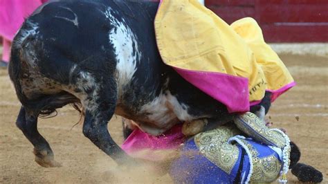 Bullfighter Paquirri Gored By Bull In Huesca Bbc News